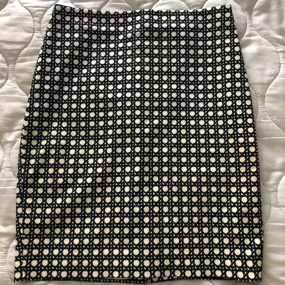 Ann Taylor Skirt